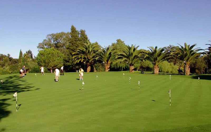penina championship golf course